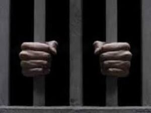 জেল কোডের পরিদর্শকগণ