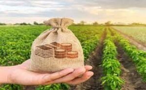 ভূমি উন্নয়ন কর কেন, কী হারে দেবেন