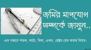 কাচ্চাকানিতে জমির পরিমাণ