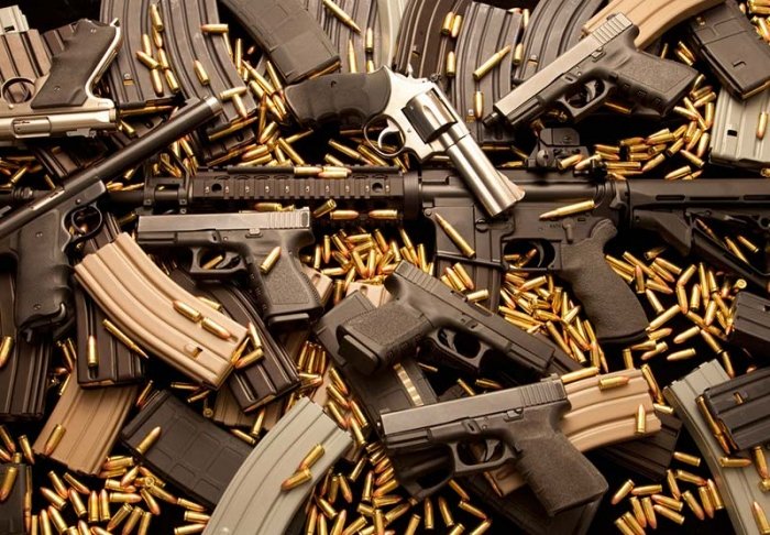 অস্ত্র ও বিস্ফোরক আইন | সূচিপত্র